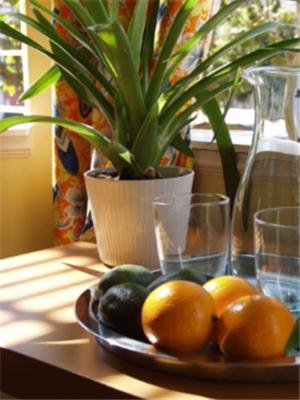Tropica Hotel San Francisco