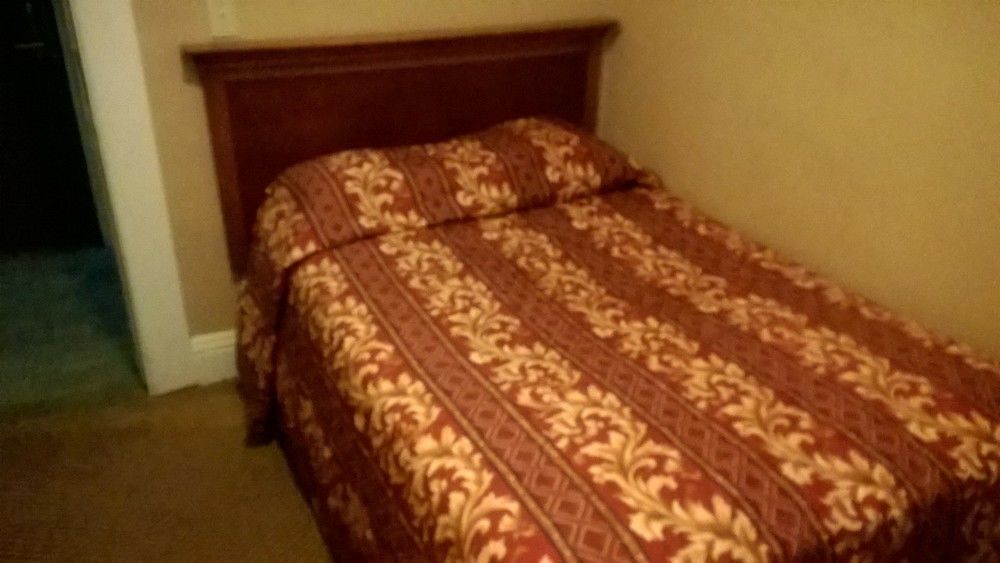 Europa Hostel *