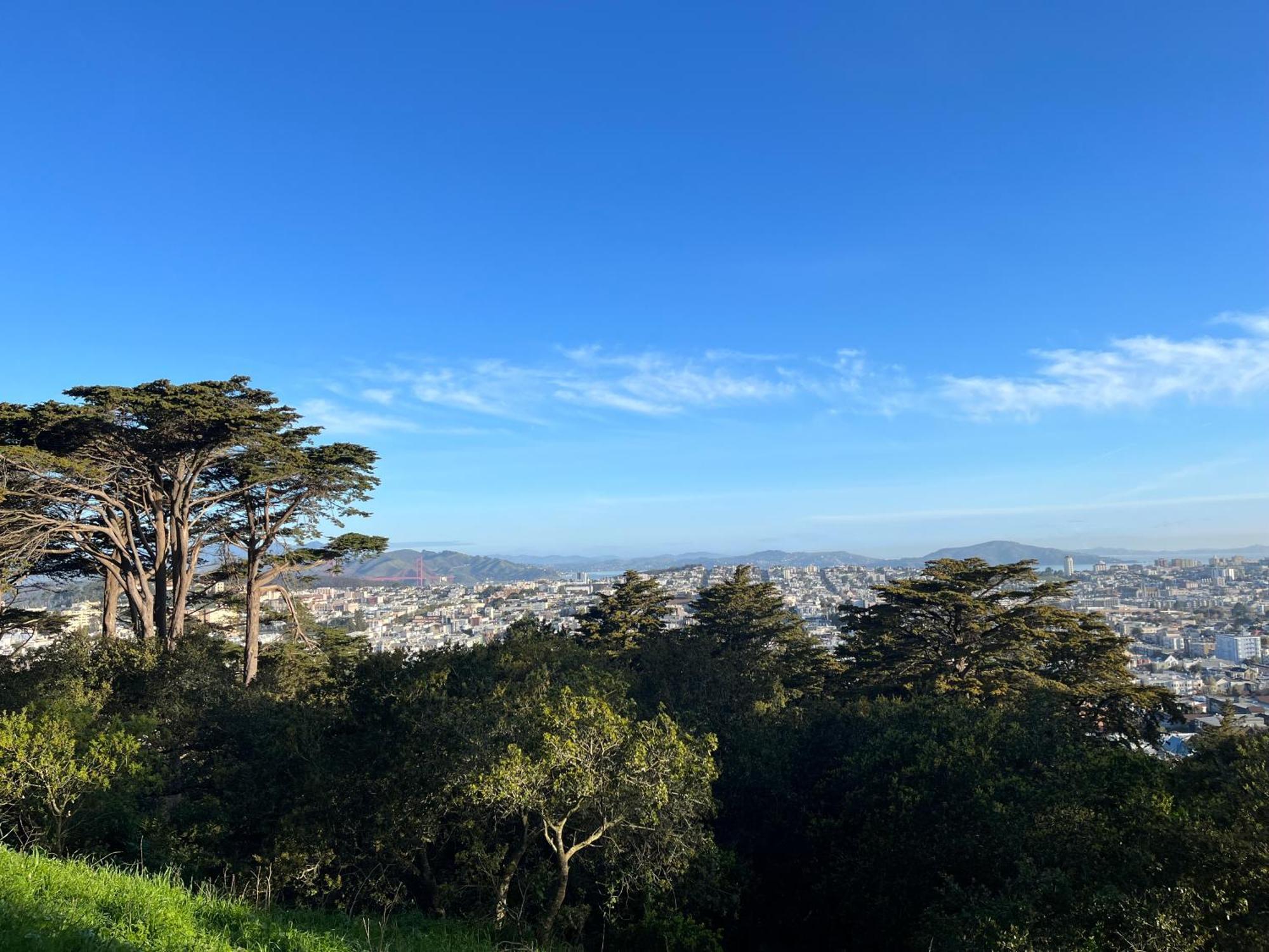 Central Sf Room In Walkable Area Homestay *