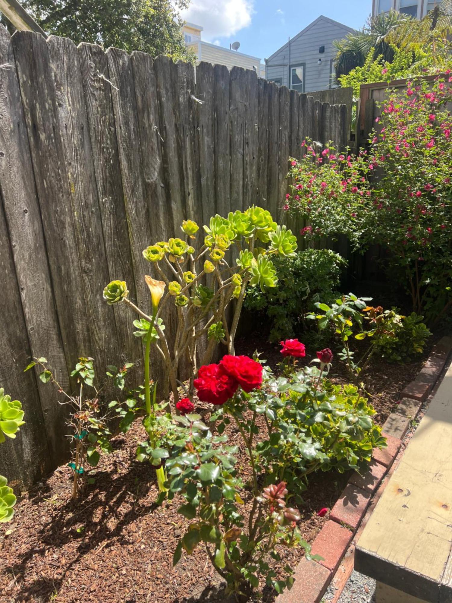 Central Sf Room In Walkable Area * San Francisco